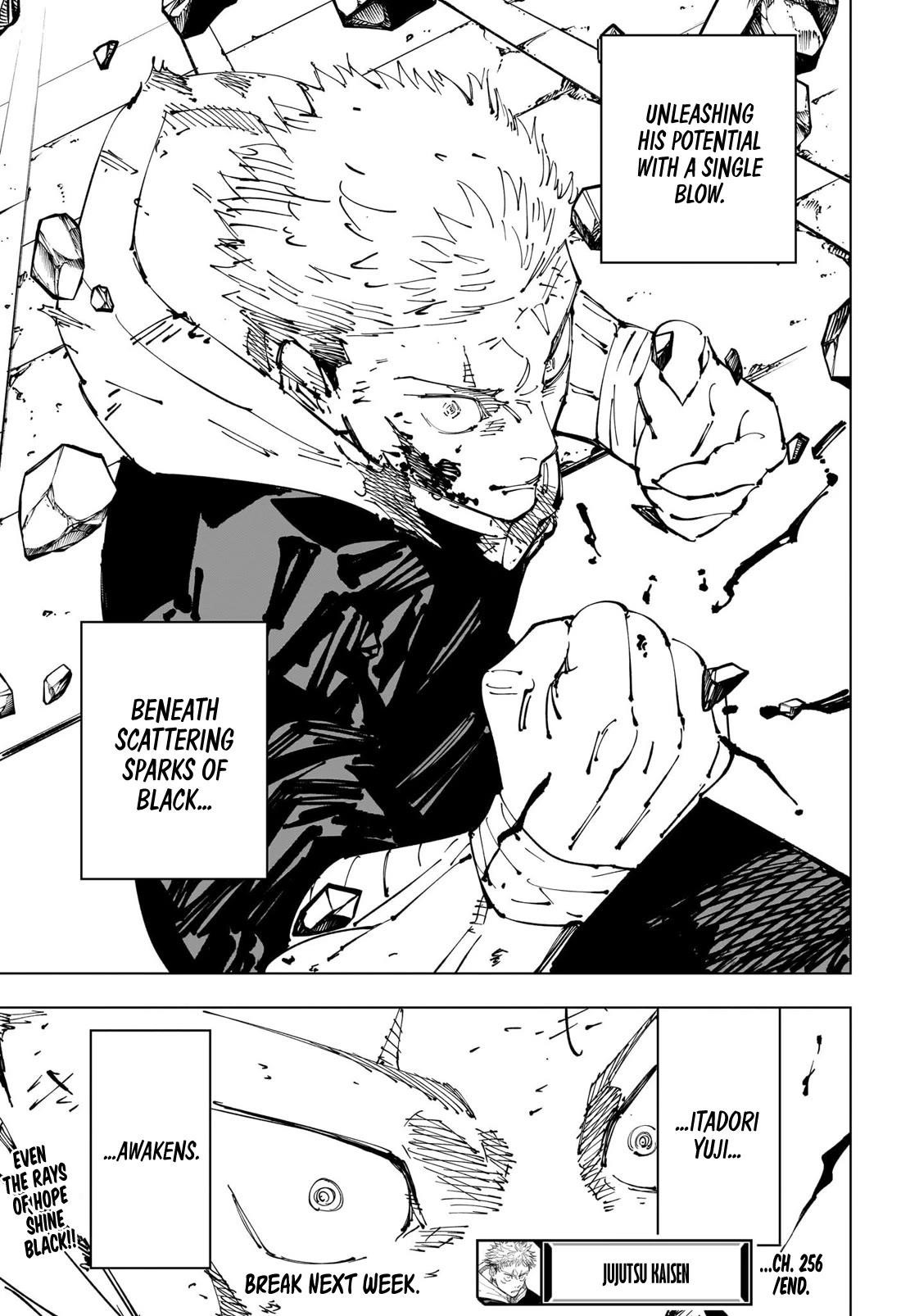 Jujutsu Kaisen Chapter 256 image 19